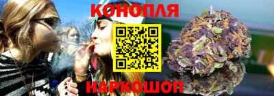 стаф Дмитров