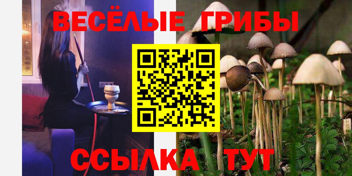 Псилоцибиновые грибы мицелий  Вход с VPN  Гатчина 