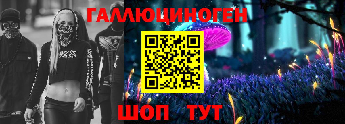 Псилоцибиновые грибы мухоморы Гатчина